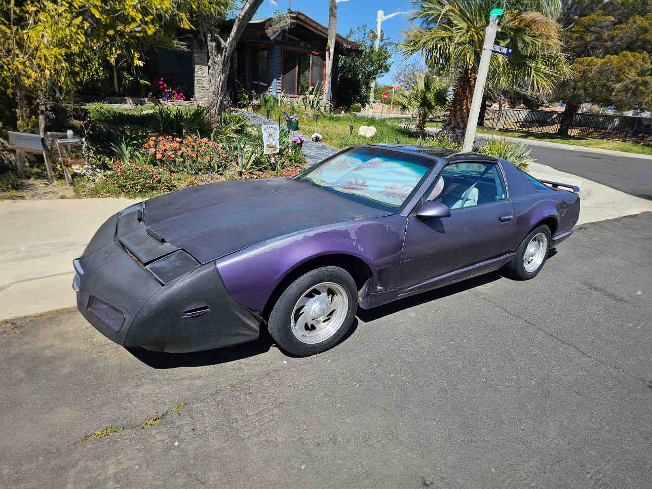 1992 Pontiac Firebird (Purple)